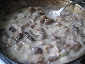 Брюссельская капуста с грибами