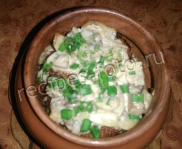 Драники в горшочке с грибами и сметаной