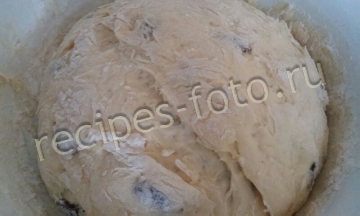 Дрожжевые булочки с изюмом. Рецепт теста на молоке
