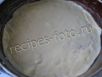 Гавайская пицца с ананасами, курицей и грибами