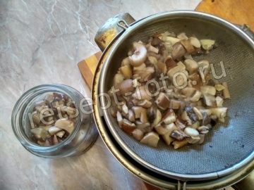Грибы маринованные с листьями смородины на зиму