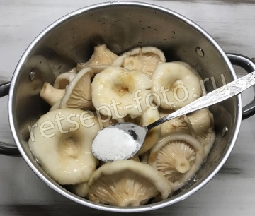 Грузди соленые холодным способом