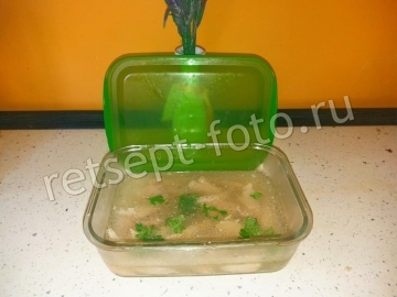 Холодец из свинины, курицы и утки без желатина