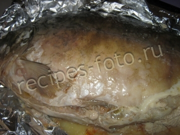 Карп фаршированный гречкой и грибами запеченный в духовке