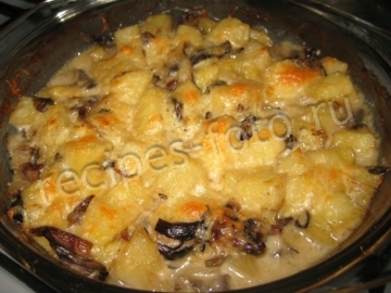 Картошка с грибами и сметаной в духовке