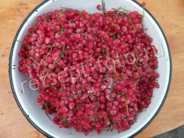 Компот ассорти со сливами, красной и черной смородиной на зиму