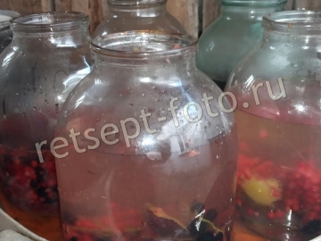 Компот ассорти со сливами, красной и черной смородиной на зиму