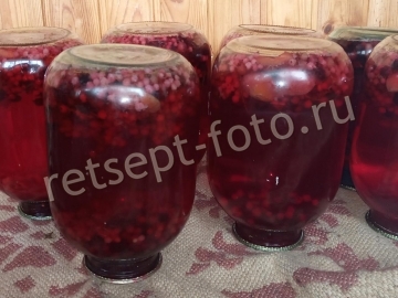 Компот ассорти со сливами, красной и черной смородиной на зиму