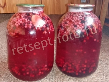 Компот ассорти со сливами, красной и черной смородиной на зиму