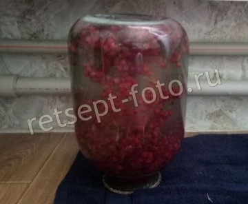 Компот из красной смородины на зиму