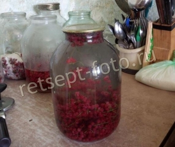Компот из красной смородины на зиму