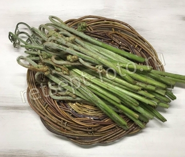 Корейская закуска из папоротника