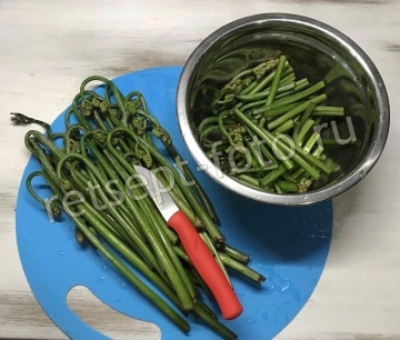Корейская закуска из папоротника
