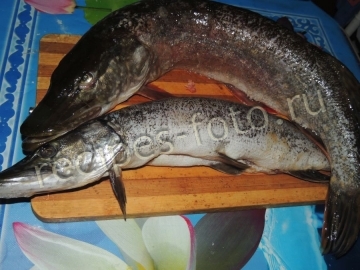 Котлеты из щуки со свининой