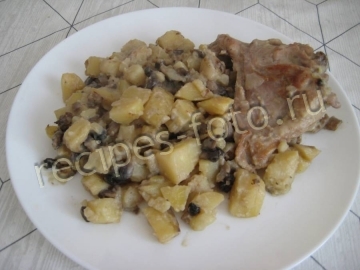 Кролик с грибами и картошкой в сметане