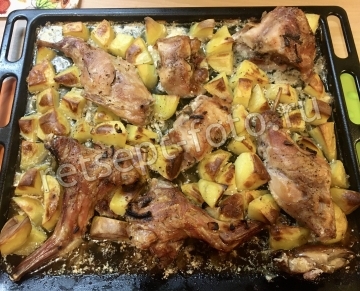 Кролик с картошкой и майонезом в духовке