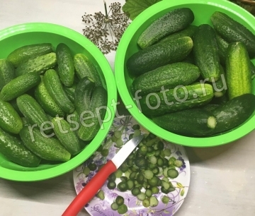 Квашеные хрустящие огурцы на зиму
