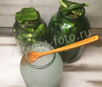 Квашеные хрустящие огурцы на зиму