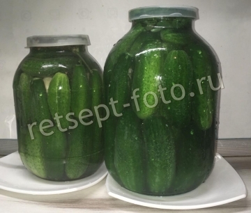 Квашеные хрустящие огурцы на зиму