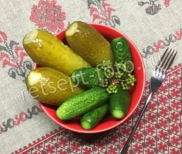Квашеные хрустящие огурцы на зиму