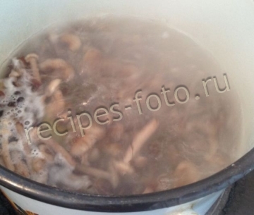 Маринованные опята на зиму