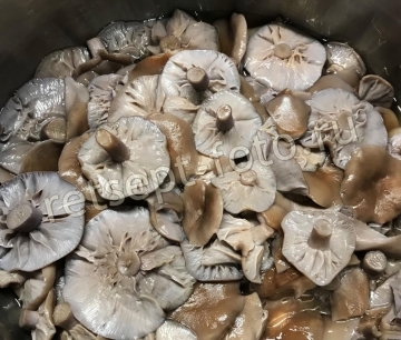 Маринованные рядовки с луком и корицей