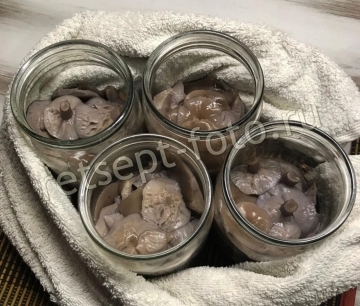 Маринованные рядовки с луком и корицей
