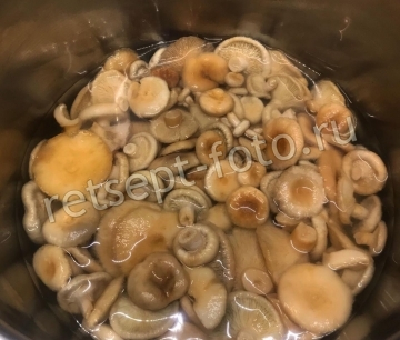 Маринованные волнушки горячим способом