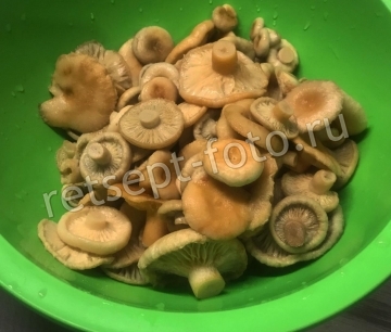Маринованные волнушки горячим способом