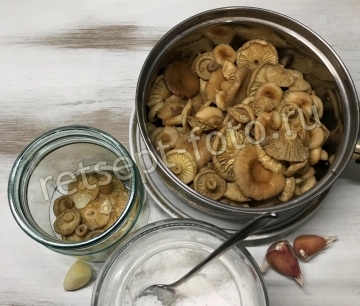 Маринованные волнушки горячим способом