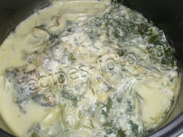 Нототения в мультиварке тушеная с луком и майонезом