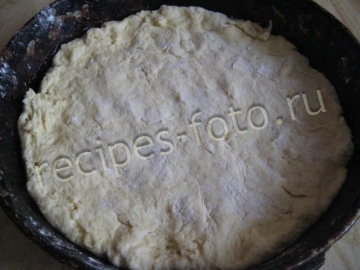 Пирог с картошкой и грибами на кефире на скорую руку
