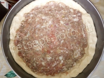 Пирог с мясом на сыворотке без дрожжей