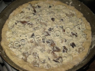 Пирог с творогом и грибами