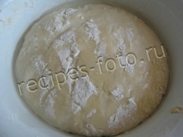 Пицца с грибами и помидорами