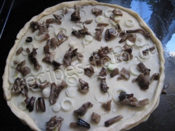 Пицца с грибами, сыром и белым соусом. Тесто без дрожжей