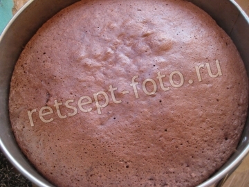 Праздничный торт с черносливом и сметаной