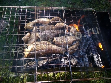 Речная рыба на мангале (головешка)