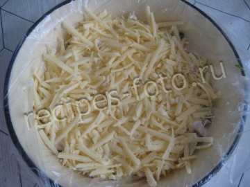 Салат "Грибная поляна" с опятами и курицей