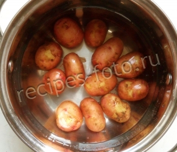 Салат с копченой курицей и помидорами без майонеза