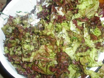 Салат с кукурузой, листьями салата и яйцами