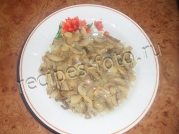 Салат с курицей, черносливом и орехами слоями на праздник
