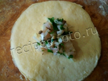 Самса с мясом курицы и грибами в домашних условиях (простое тесто)