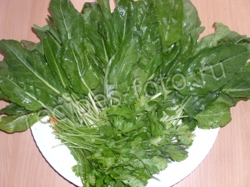 Щавель консервированный на зиму
