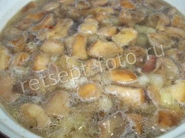 Сливочный суп с белыми грибами и курицей