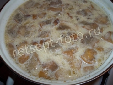 Сливочный суп с белыми грибами и курицей
