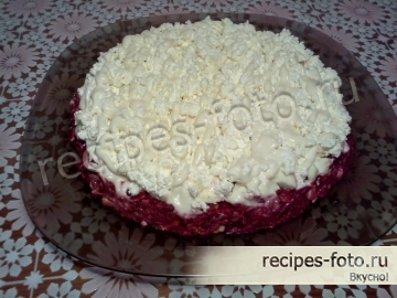 Слоеный салат из вареной свеклы с творогом и чесноком