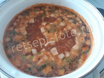 Солянка с курицей, ветчиной и вяленой говядиной
