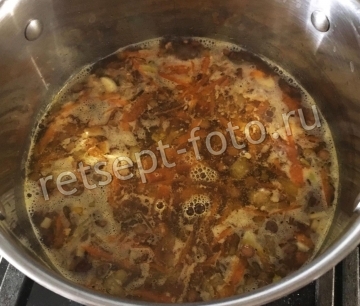 Суп из зеленой чечевицы с курицей