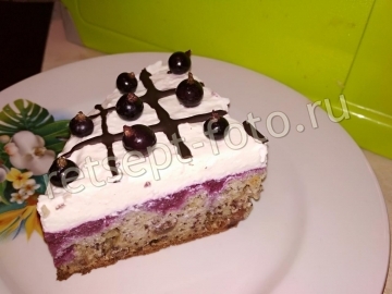 Торт с творогом и черной смородиной с желатином